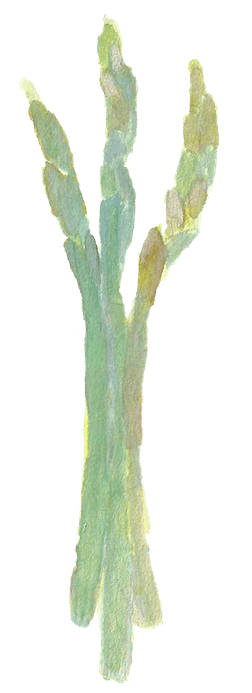 a close up of a tree