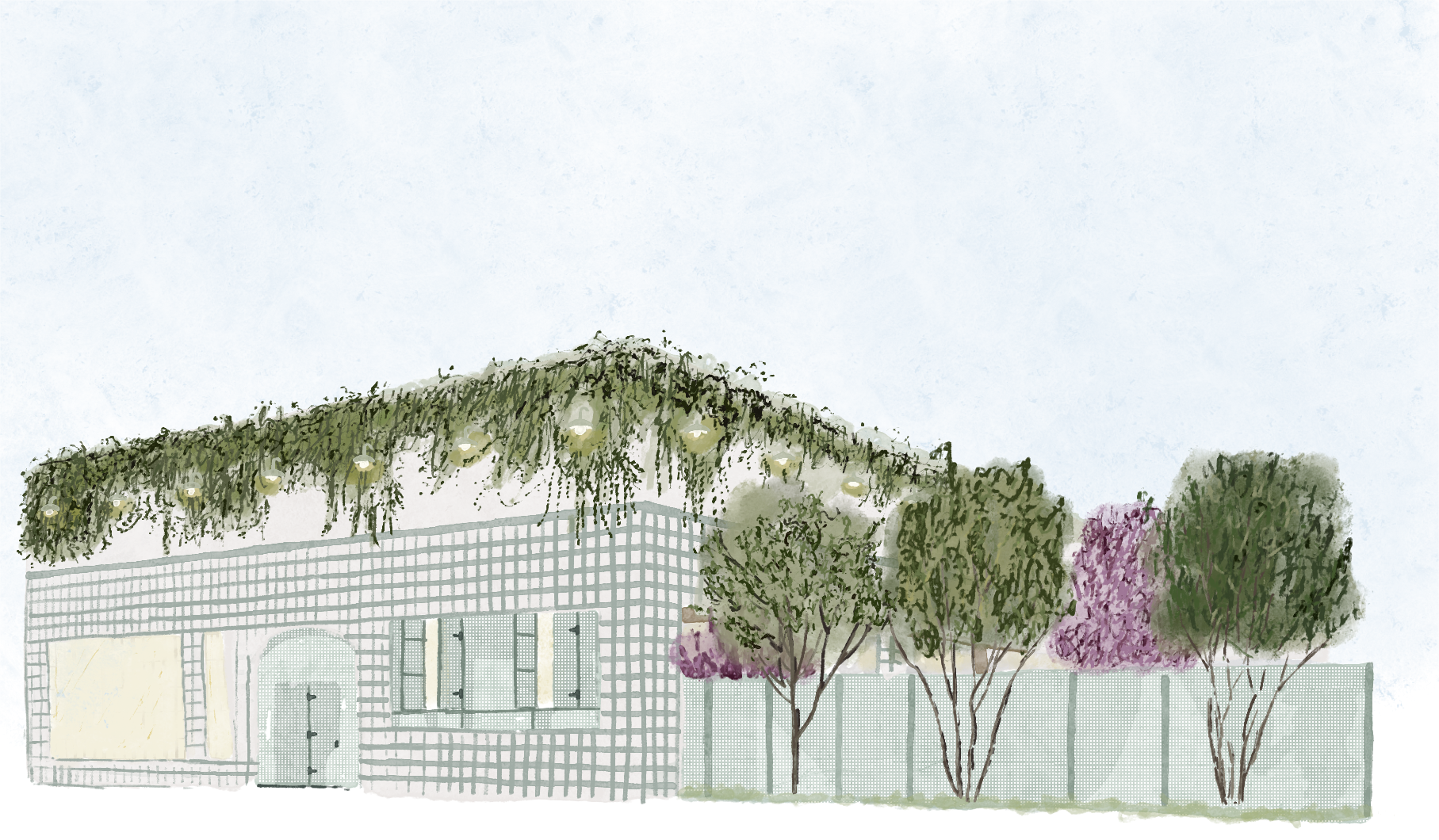 a close up of some flowers