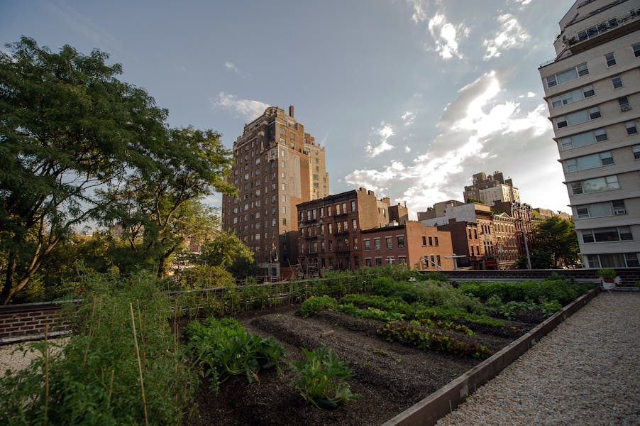 About Rosemary's in New York, NY