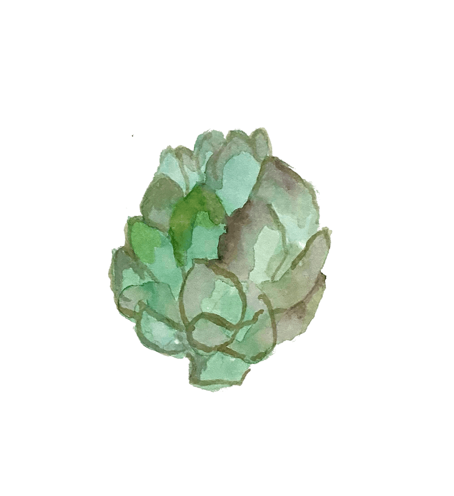 a close up of a flower