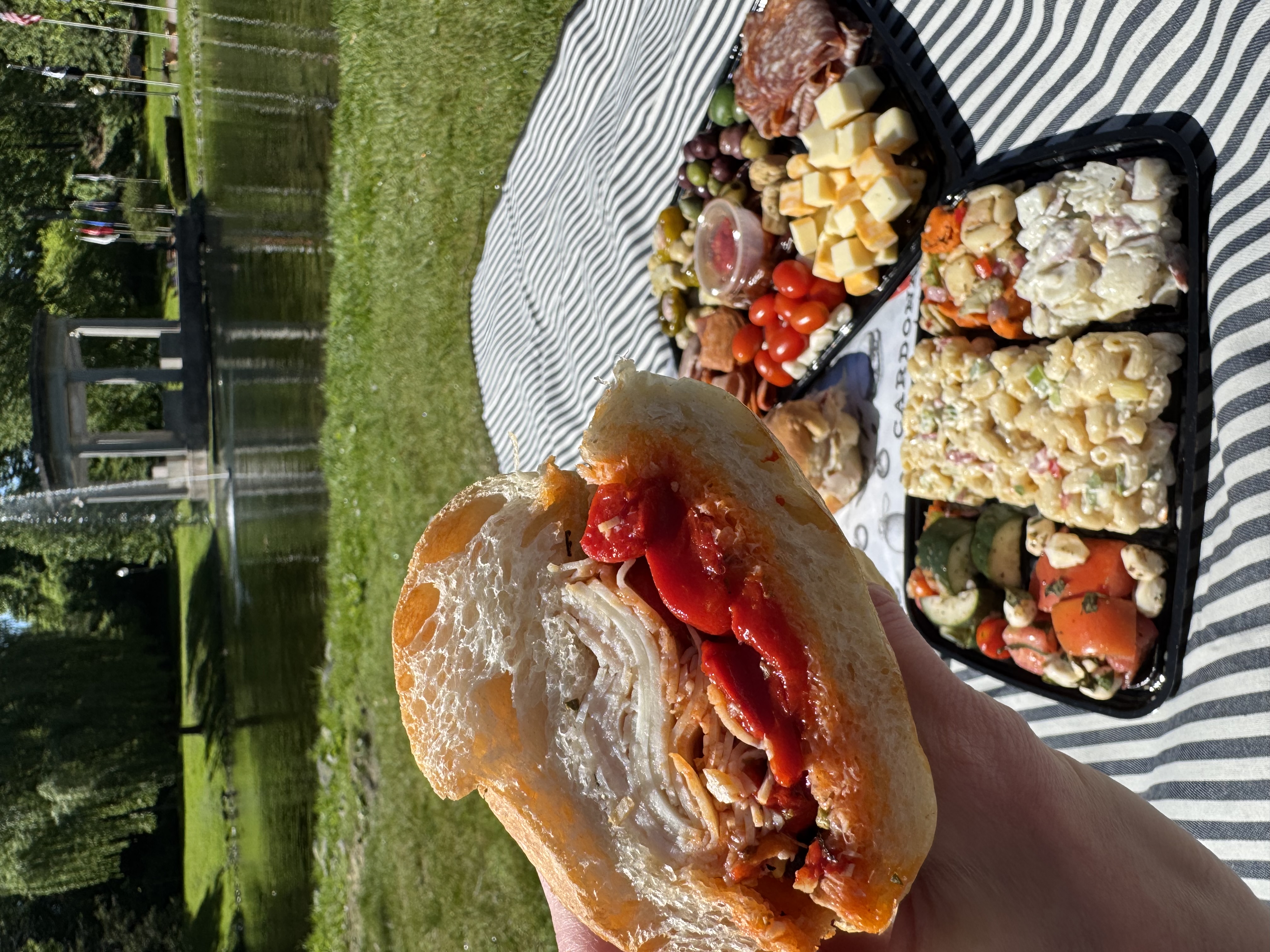 a hand holding a sandwich with different foods on a picnic blanket