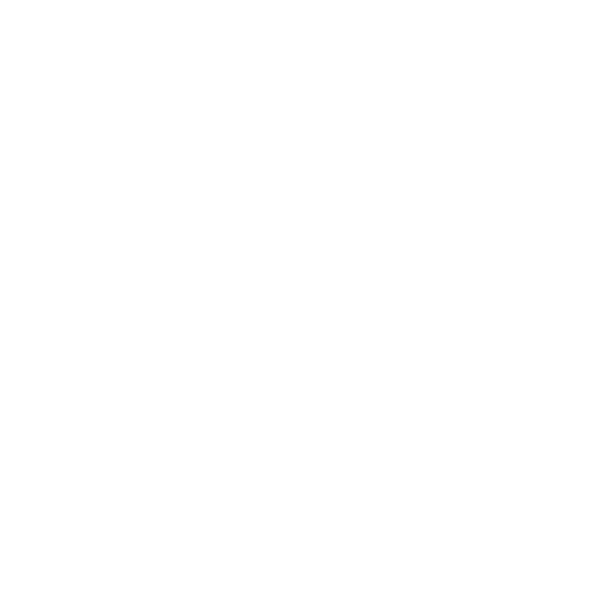 Quesadilla Gorilla- Mexican