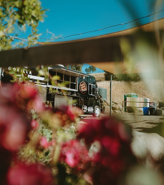 Quesadilla Gorilla Three Rivers