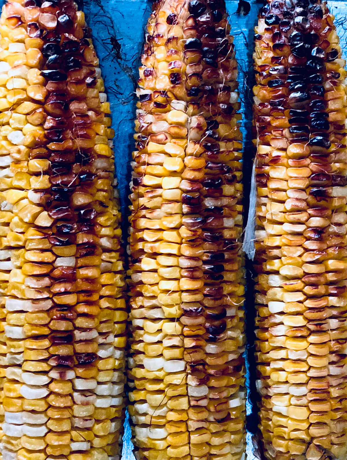 a row of corn on a grill