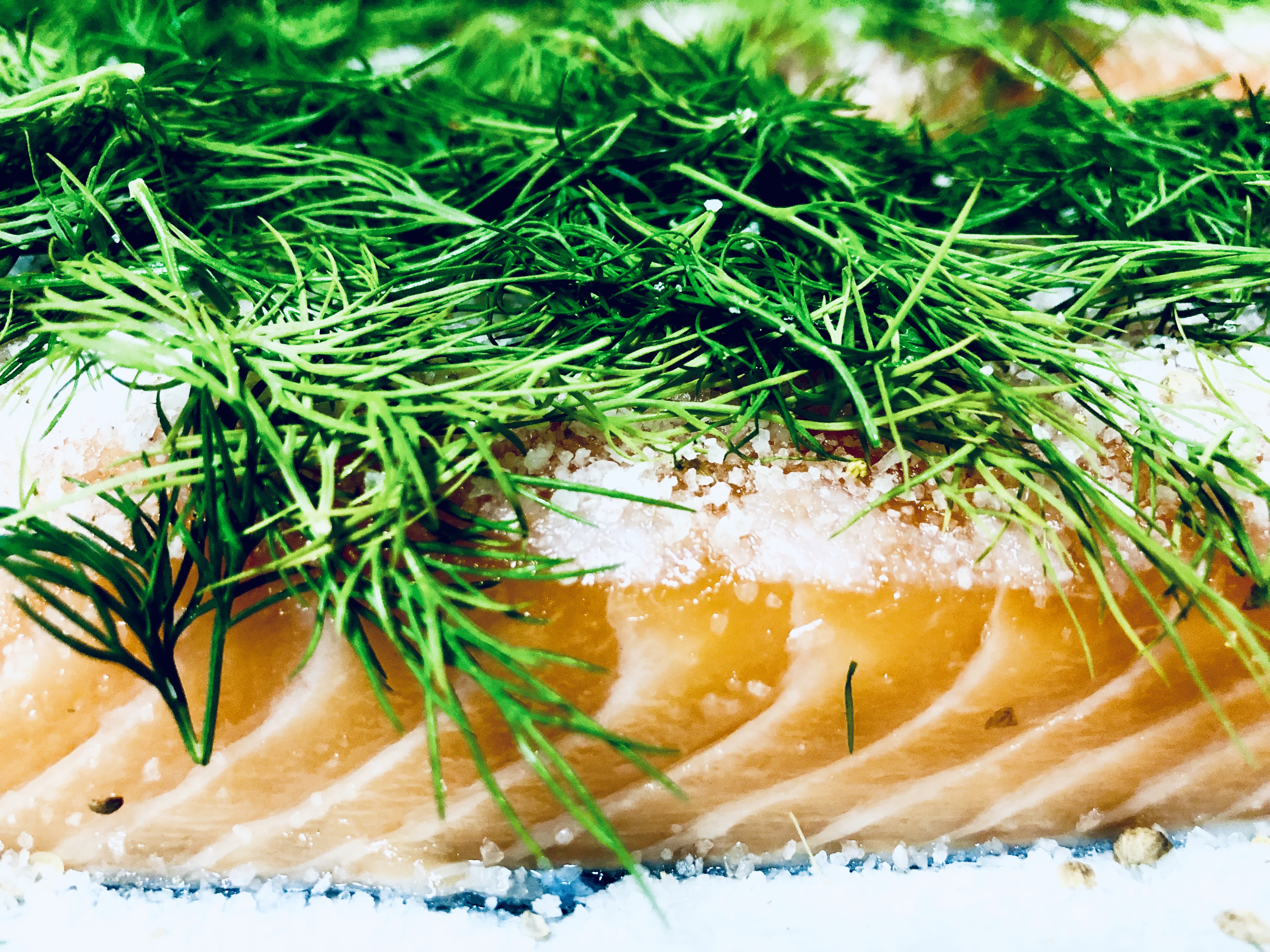 a close up of food
