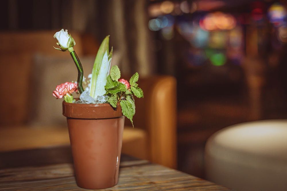 cool drink at Las Vegas lounge mixology