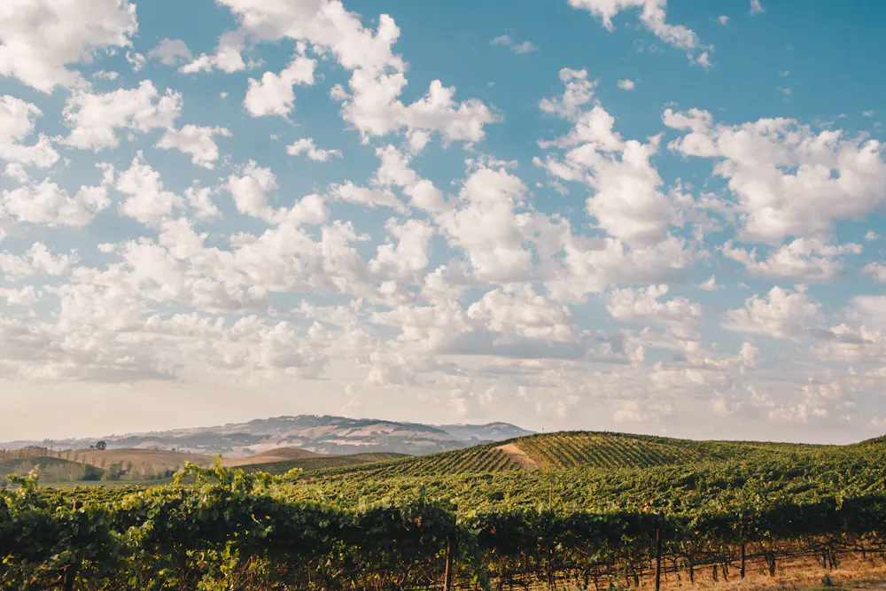 a landscape