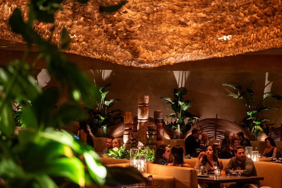 amaya late night vibe.