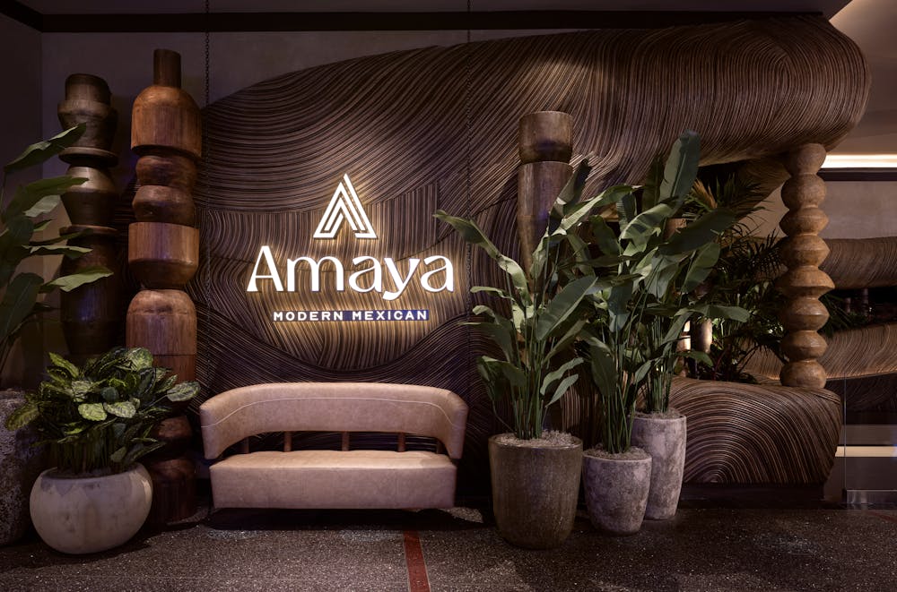 best mexican resturant amaya modern mexican