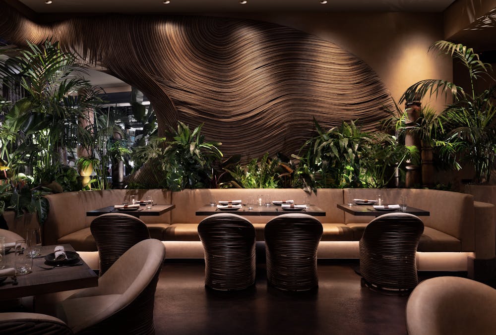 Amaya modern mexican interior decor and design