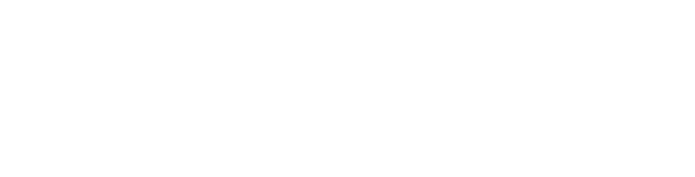 Deringer's Public Parlor white logo featuring two crossed revolvers underneath western-style typography.