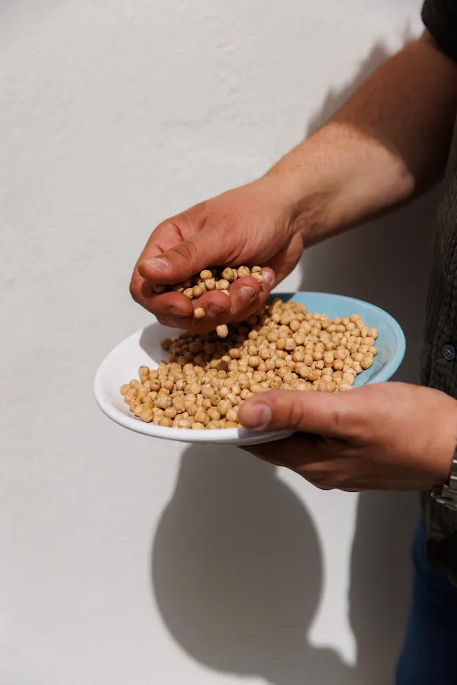 a person holding a plate of food