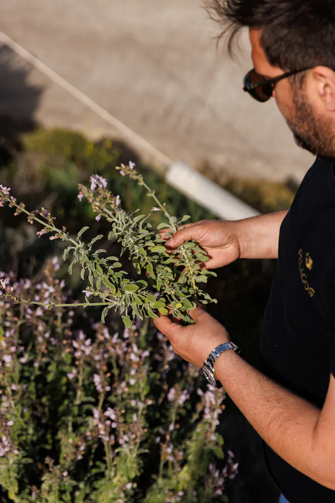 a man holding a knife