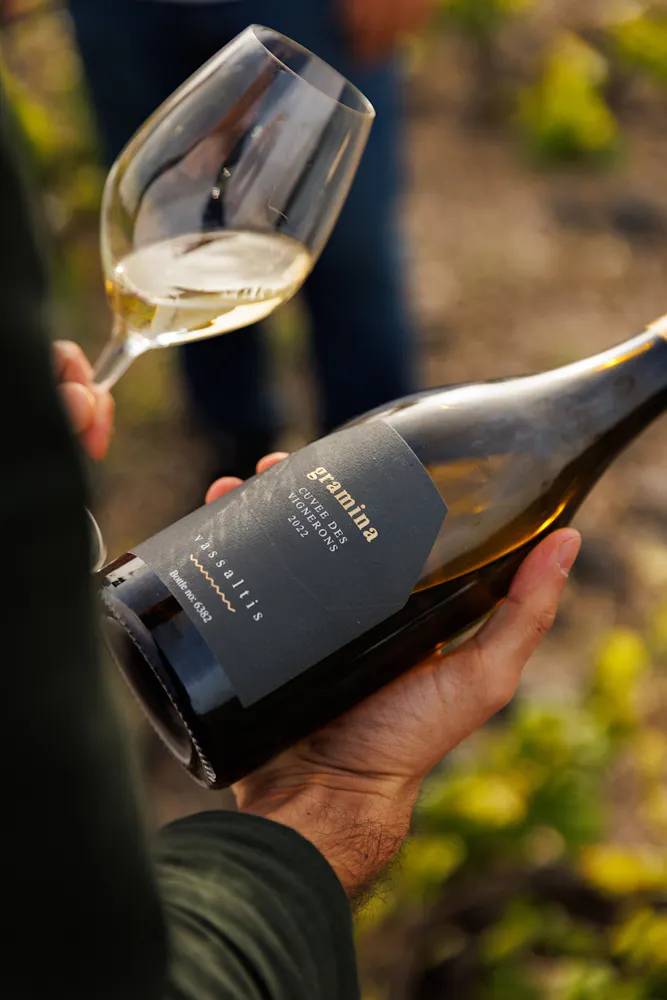 a hand holding a glass of wine