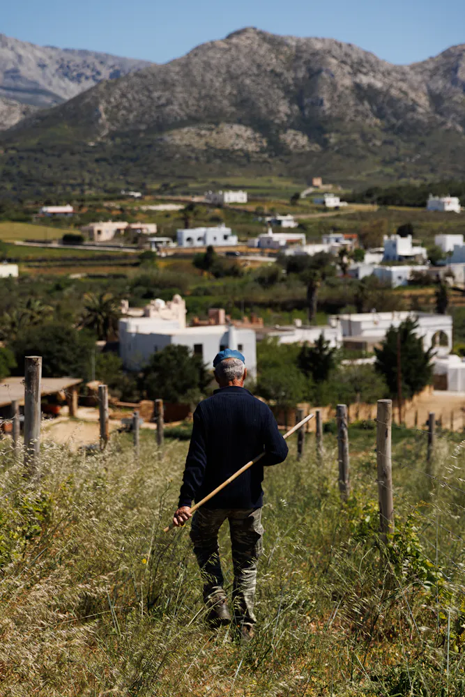 a man standing in a field with a mountain in the background
