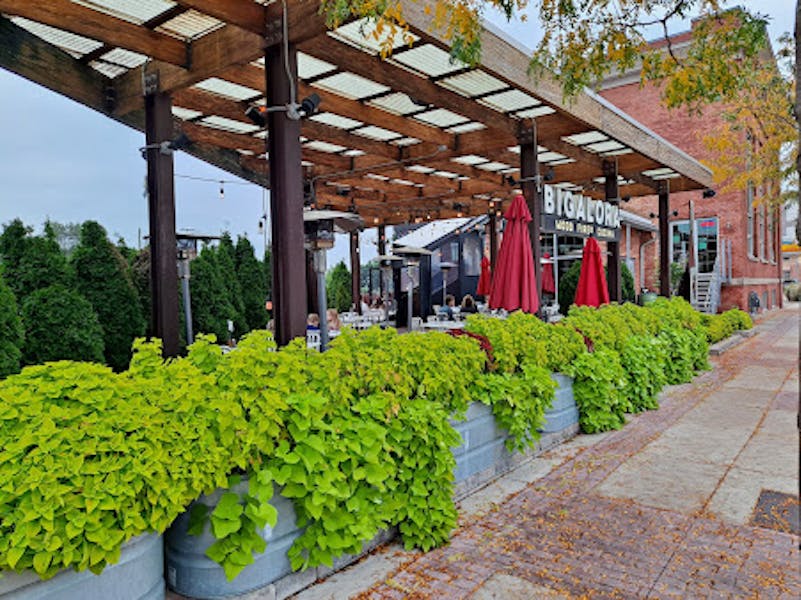 Royal Oak Bigalora Wood Fired Cucina in Michigan