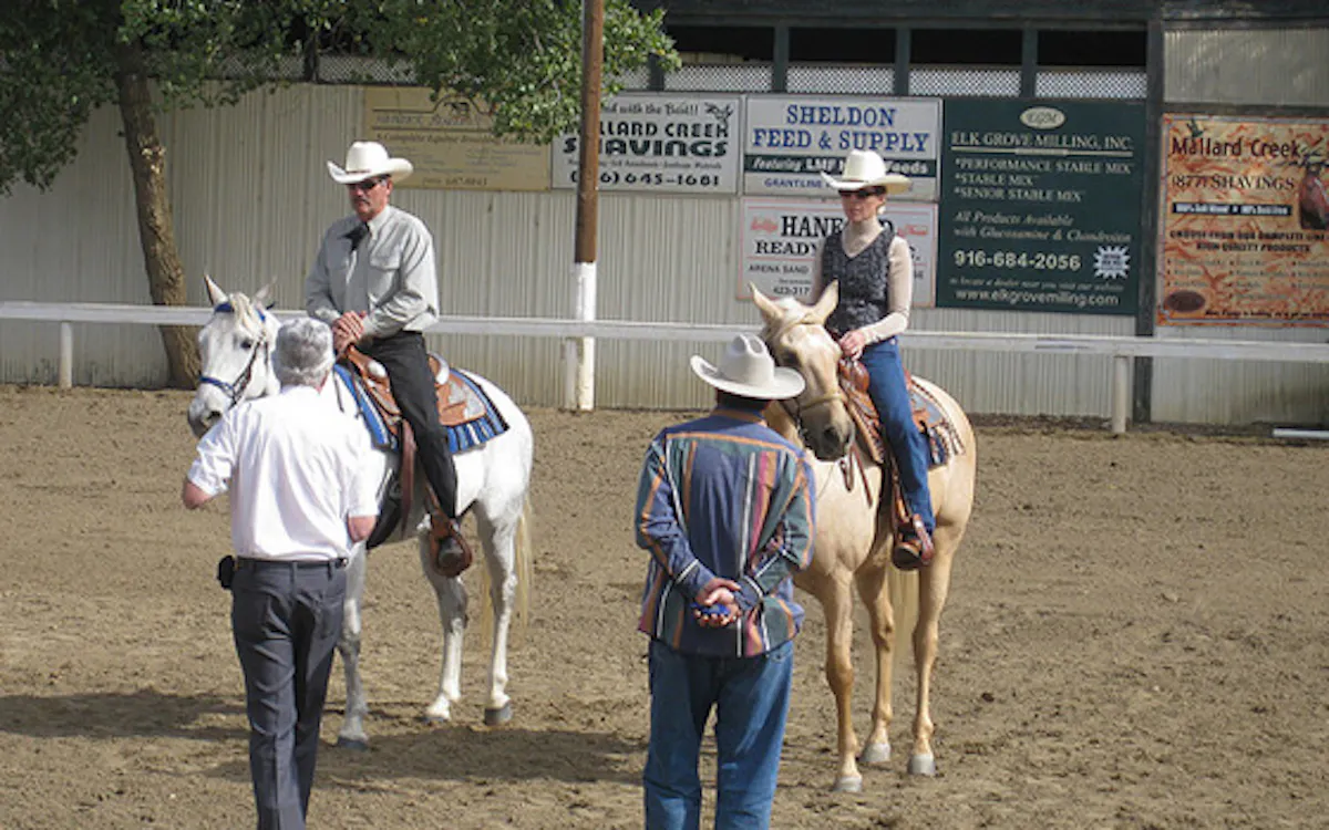 a group of people standing next to a horse
