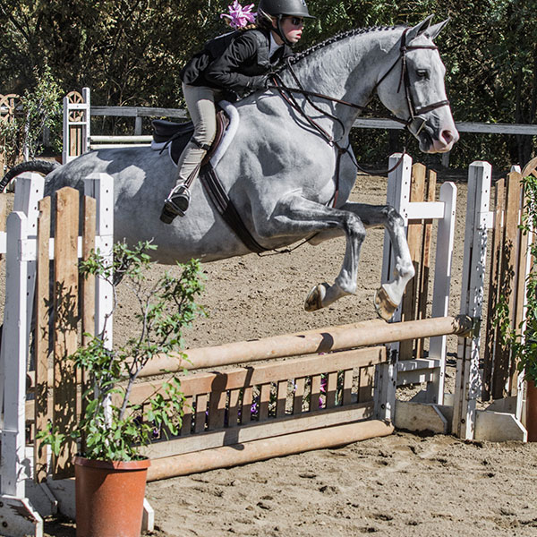 a person riding a horse jumping over a fence
