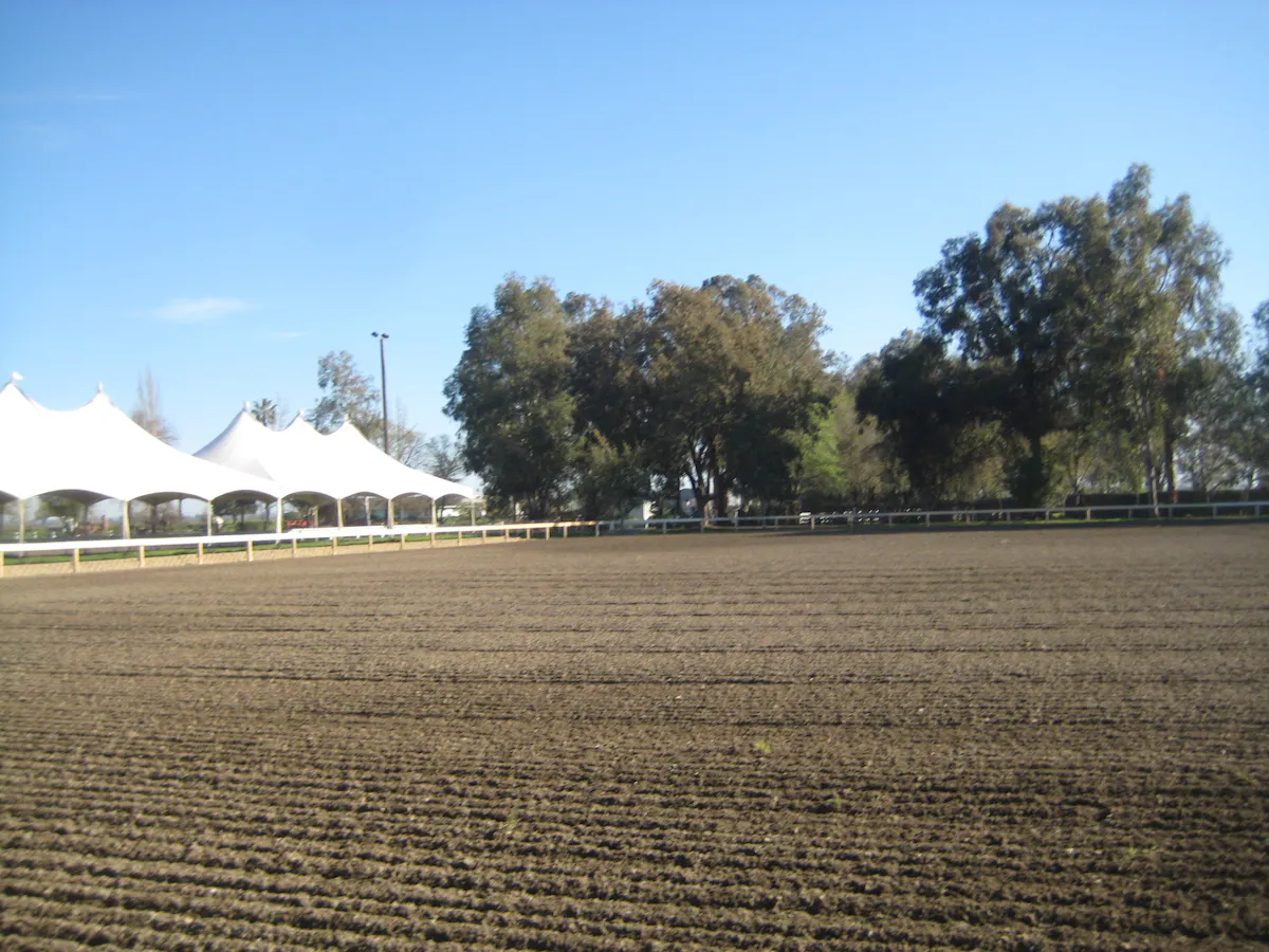a field of grass with trees in the background