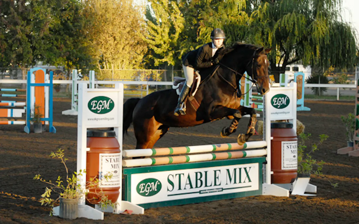 a horse jumping over an obstacle