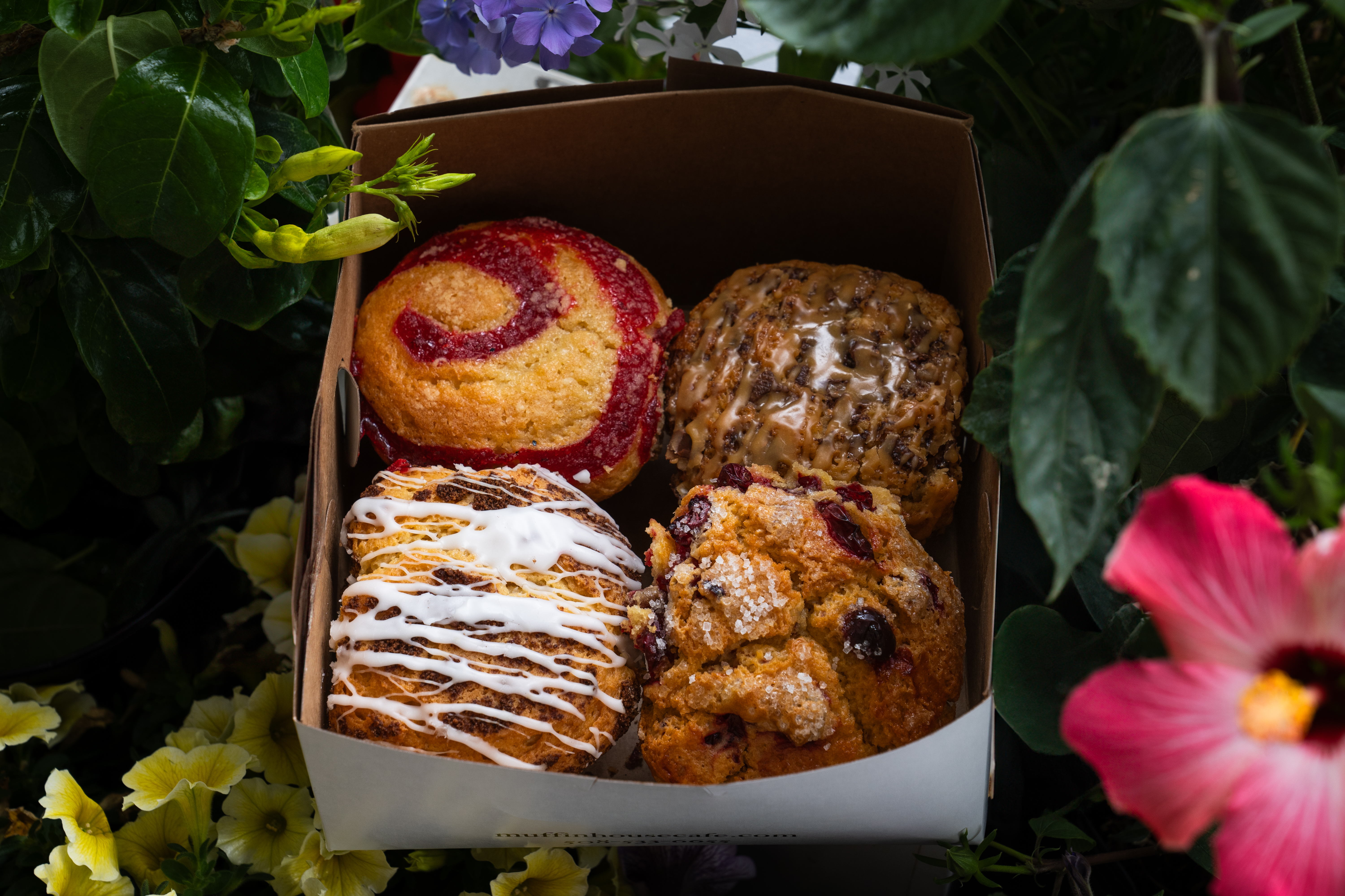 a box of pastries in a plant