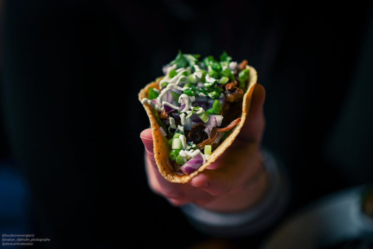 a close up of a sandwich