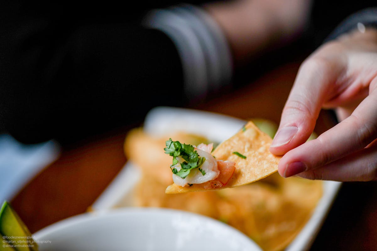 a close up of a person holding a plate of food