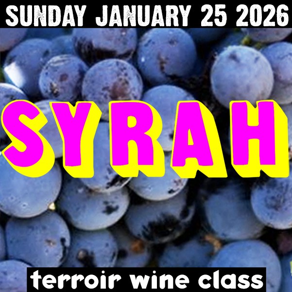 Sunday Wine School - Syrah | Terroir