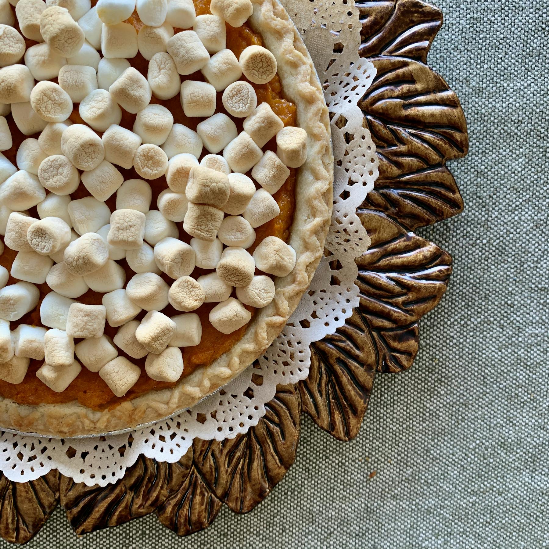 a close up of a coral