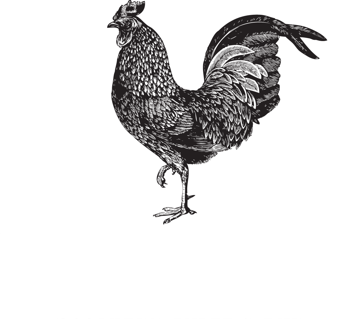 Hours Location Yardbird