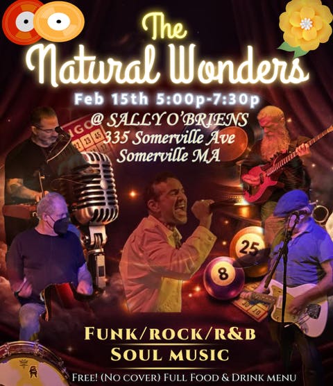 a close up of a flower