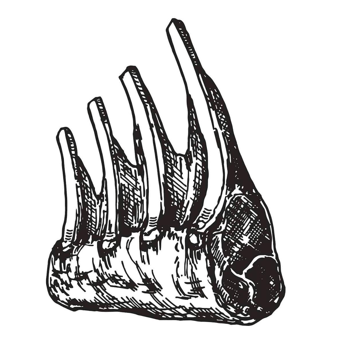 a close up of a logo