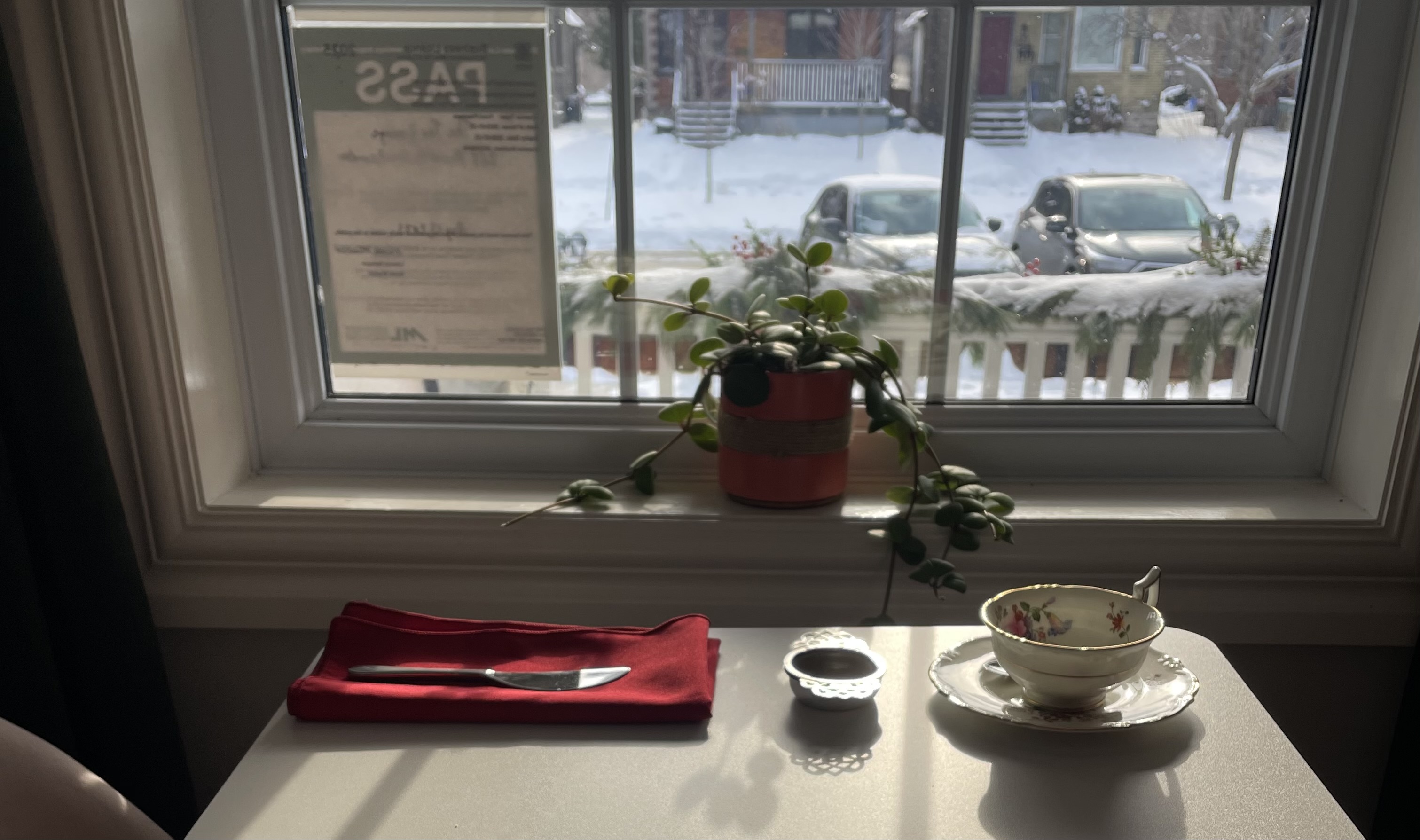 Gallery Slide 16