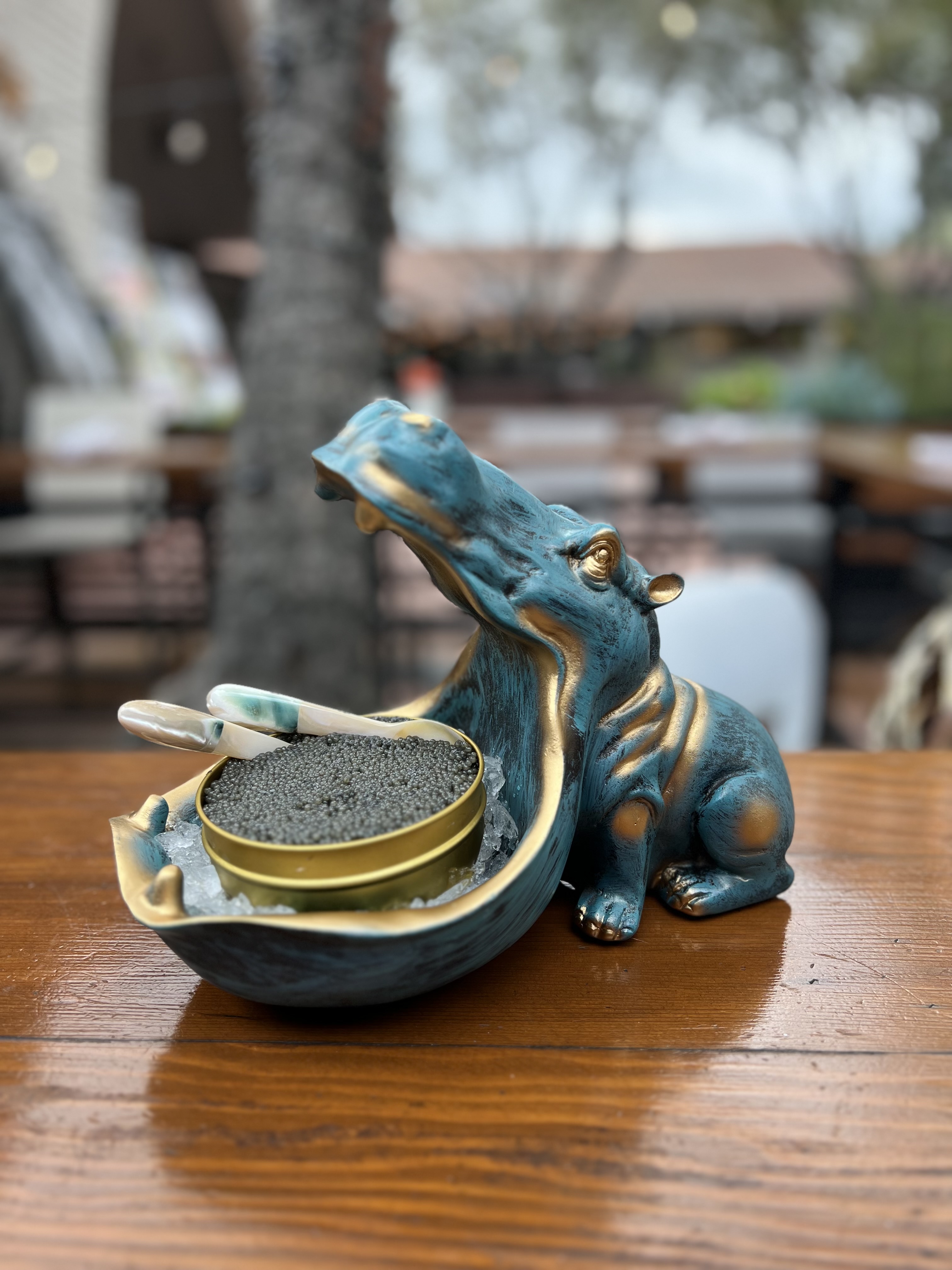 a blue bird sitting on top of a wooden table