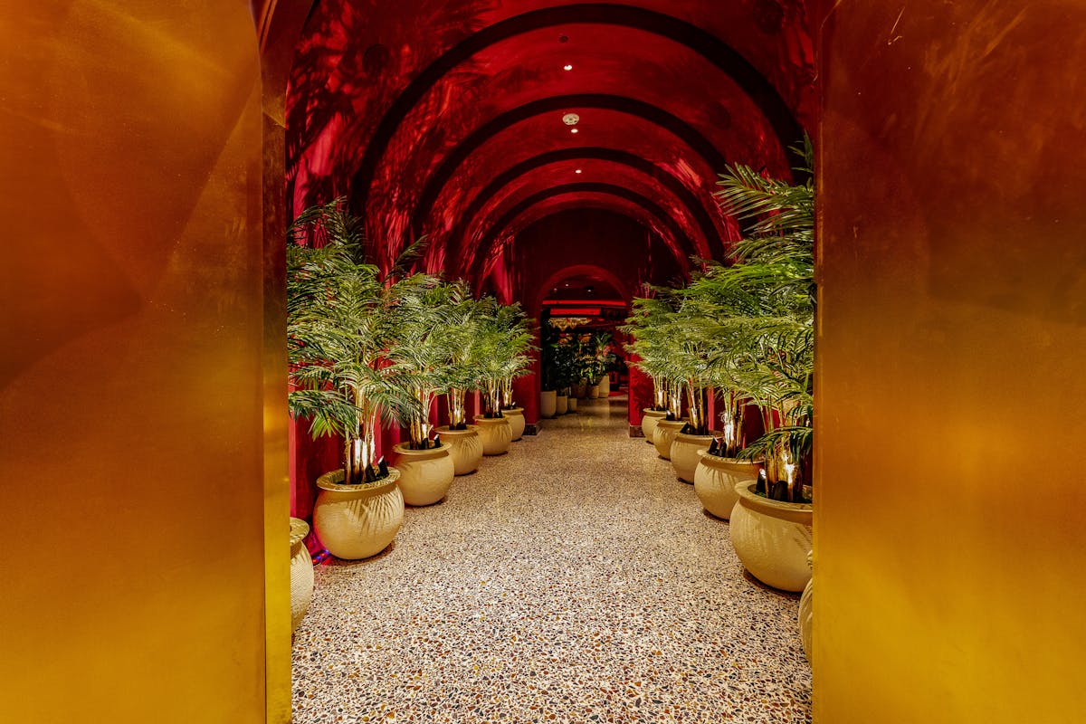 Bet Saver Red Toucan Casino: A Practical UK Overview