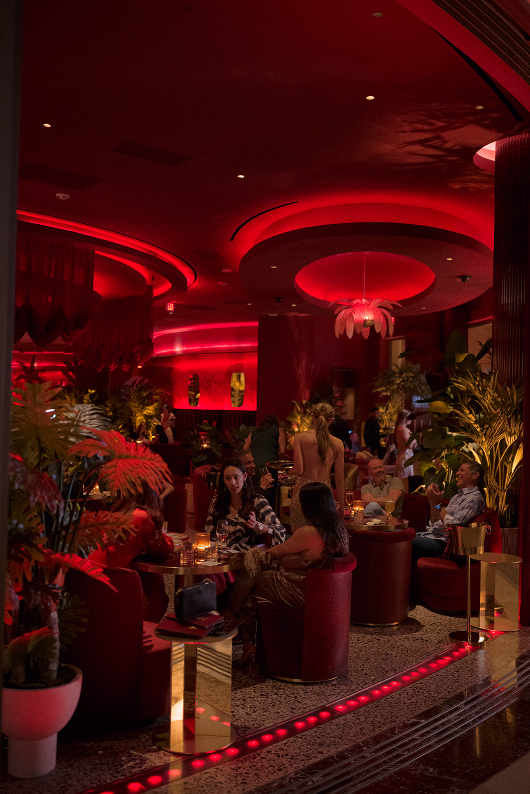 a christmas tree lit up at night