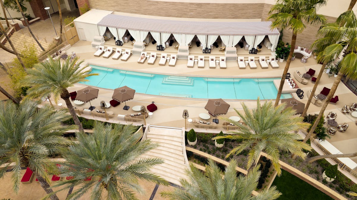 a group of palm trees with a building in the background