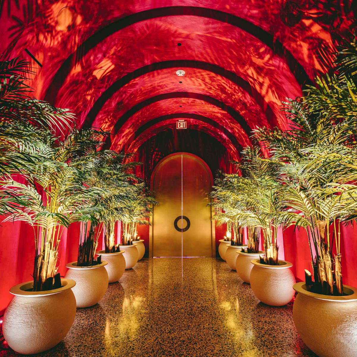 a christmas tree in a room