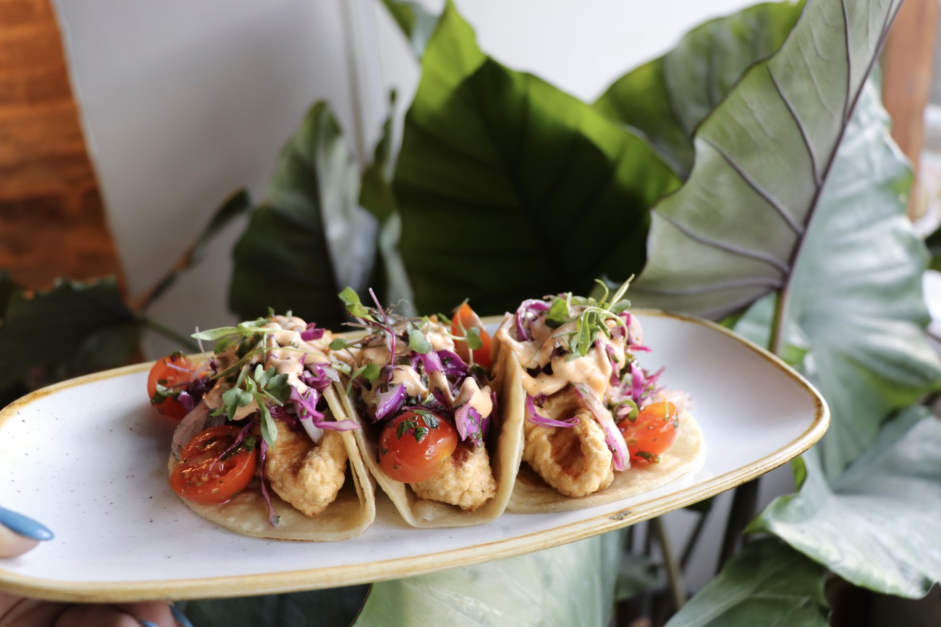 a person sitting at a table with a plate of food
