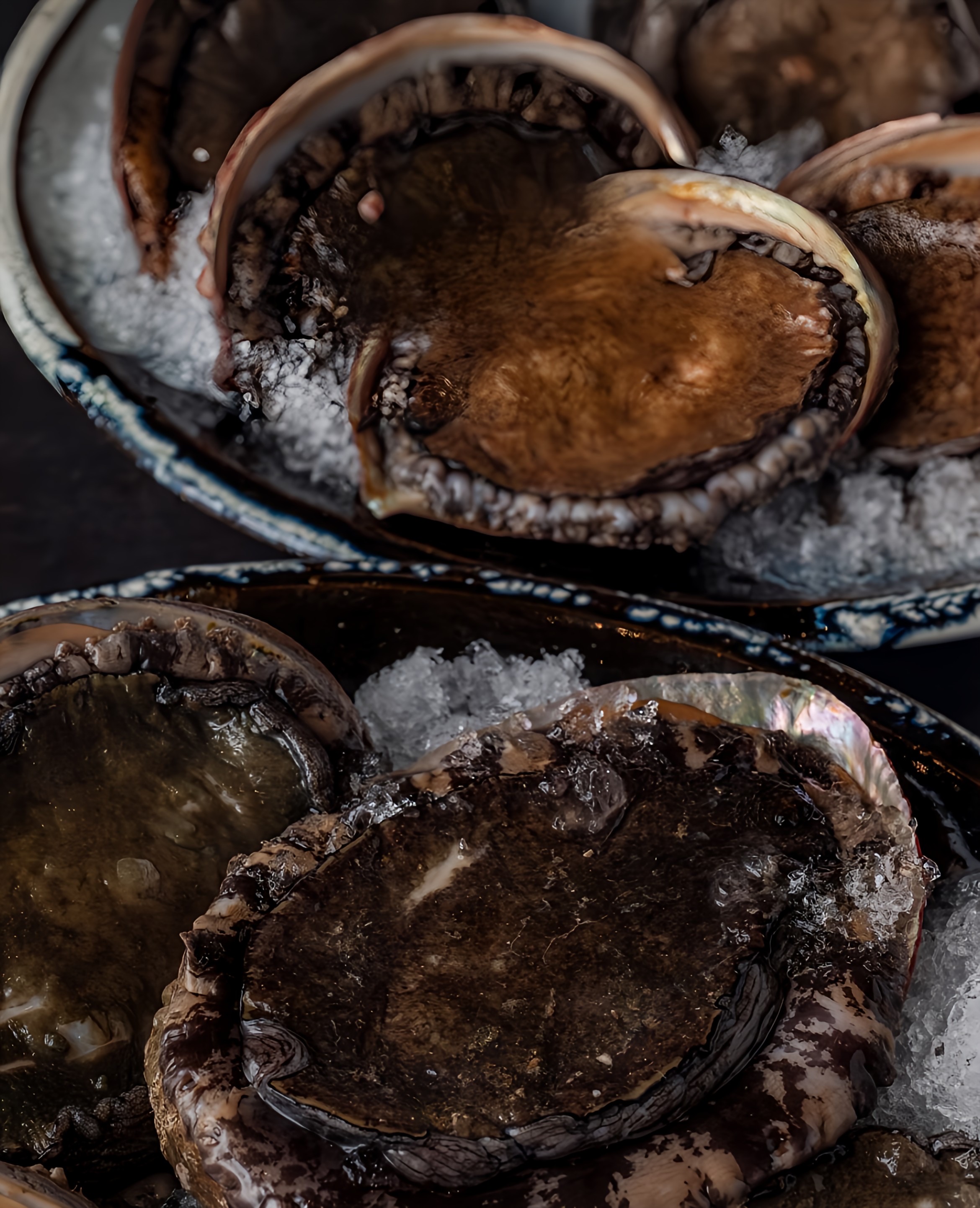 a large chocolate cake on a plate