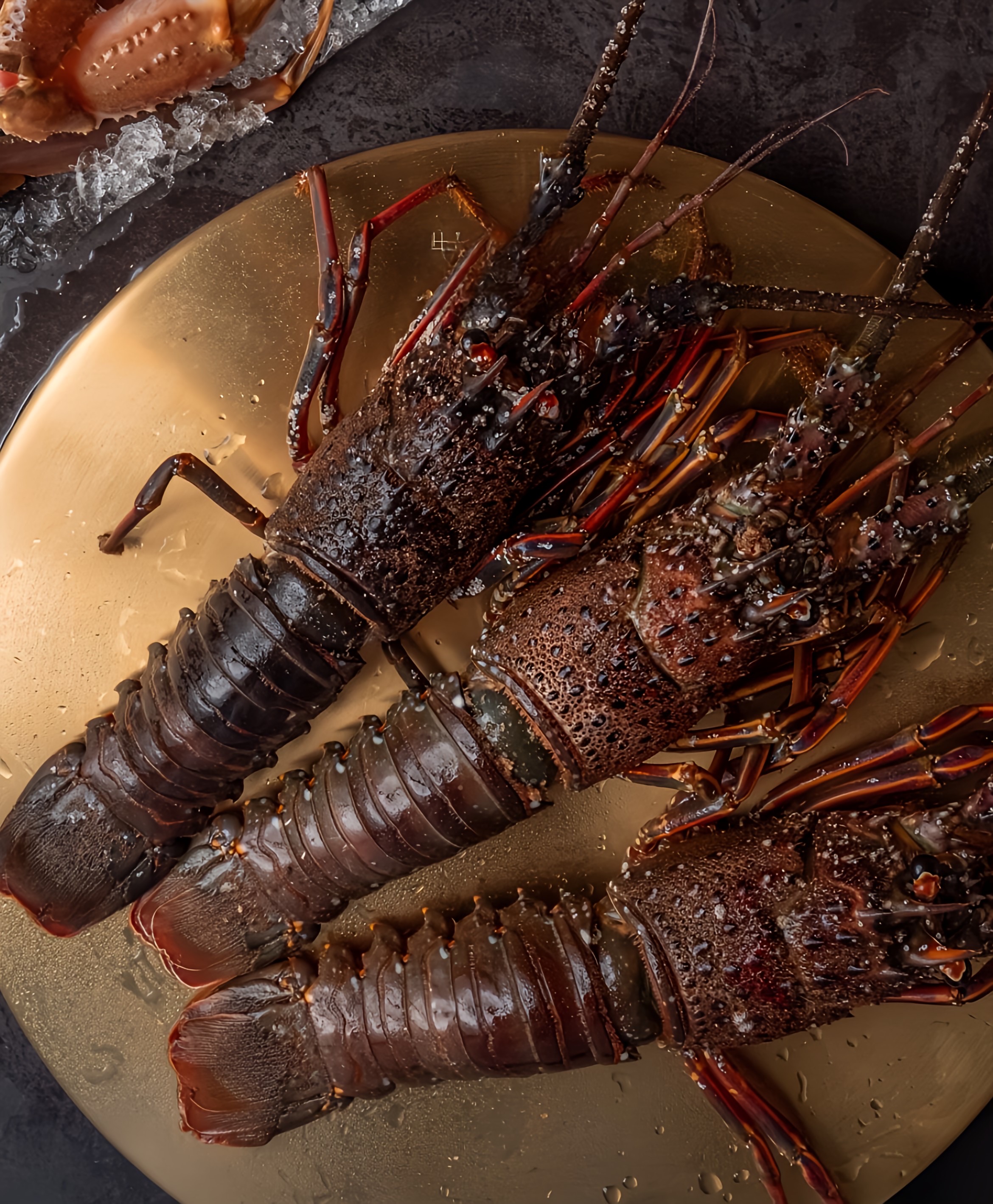 a lobster on a plate
