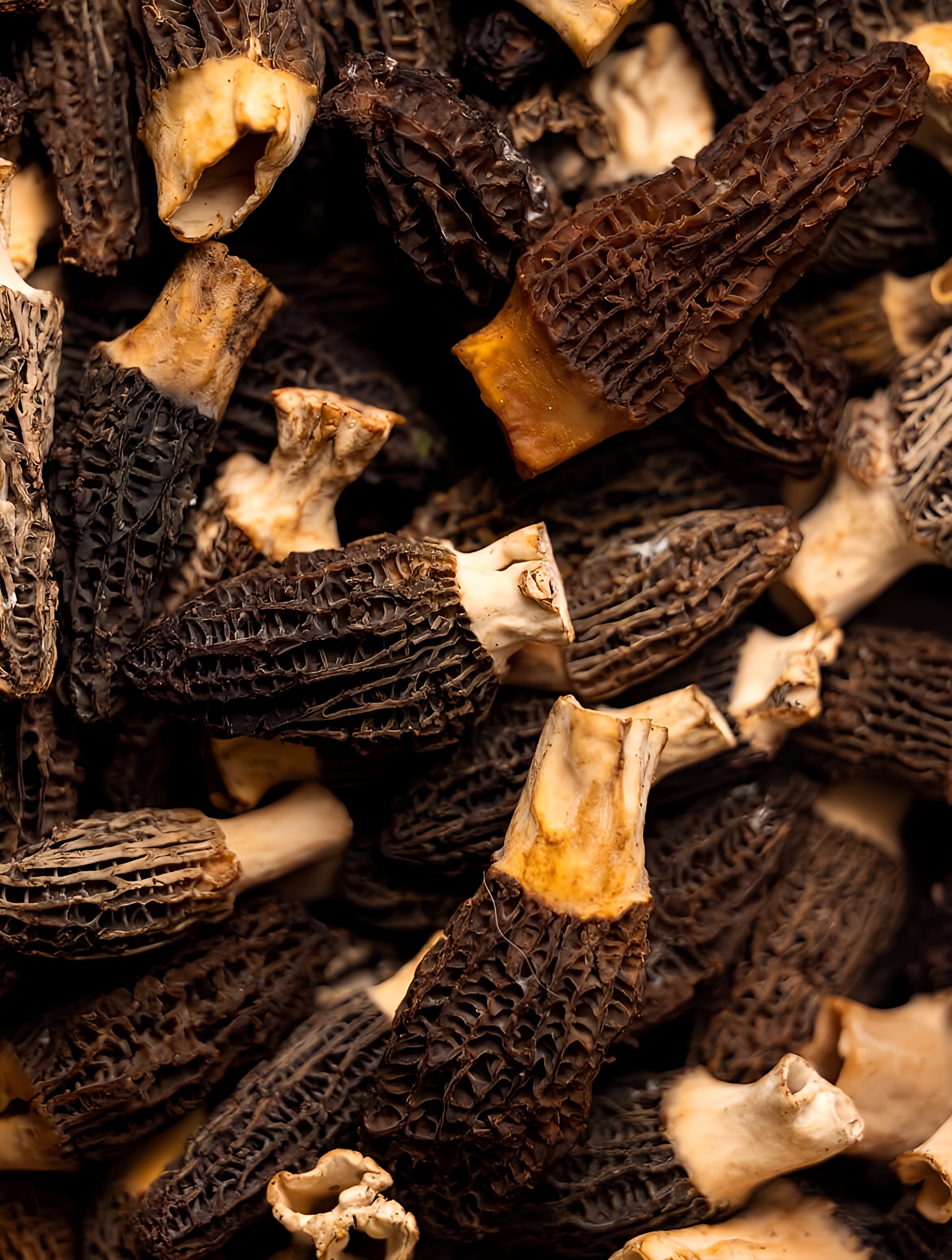 a group of stuffed animals