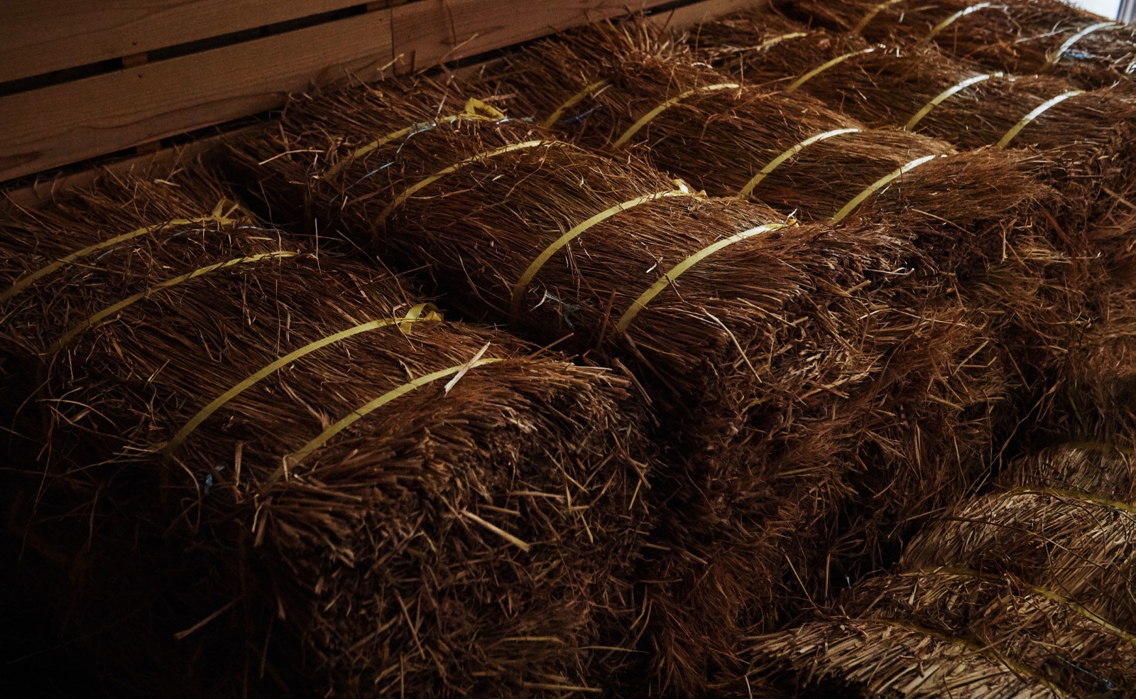 a pile of hay