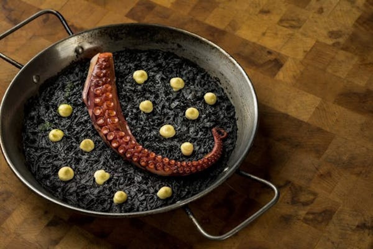 a bowl of food on a wooden floor