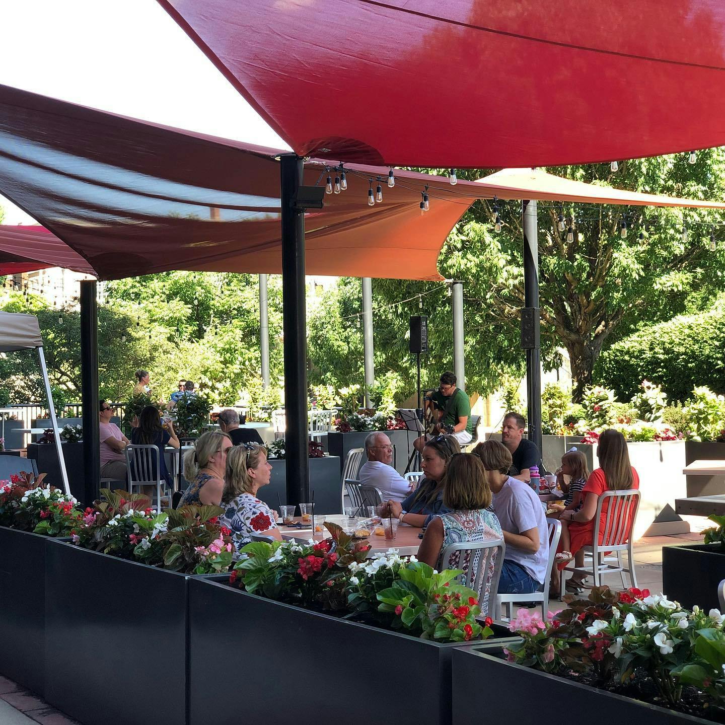a group of people in a garden