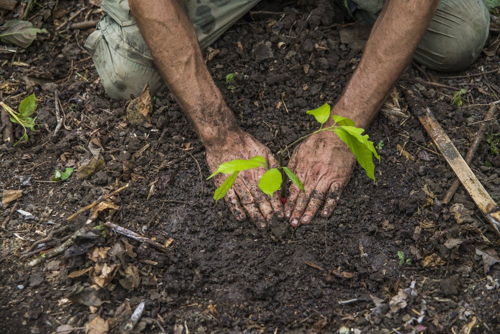 a person lying in the dirt