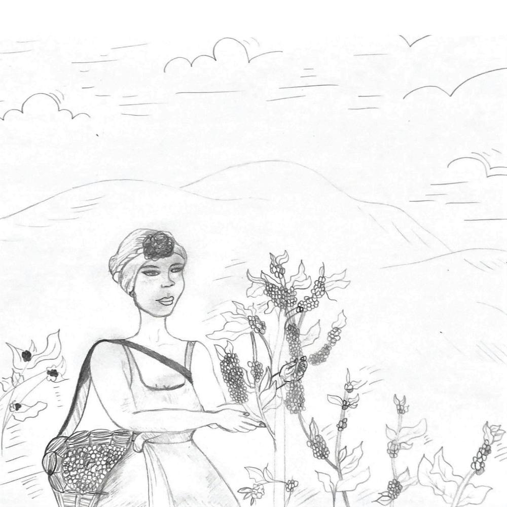 a drawing of a person