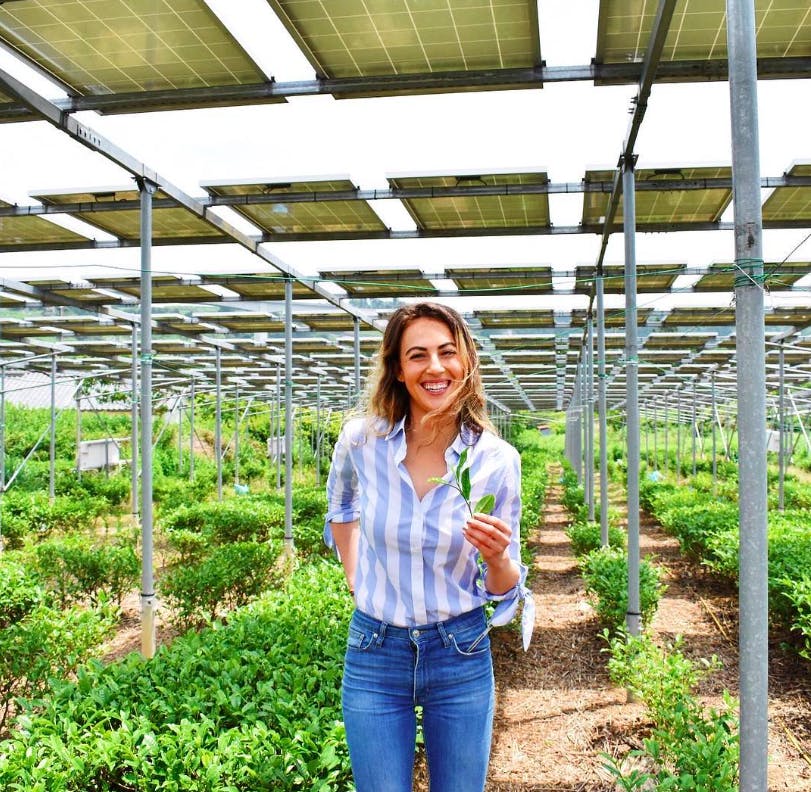a person standing next to a fence