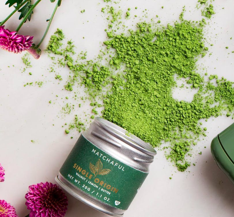 a pink flower with green leaves