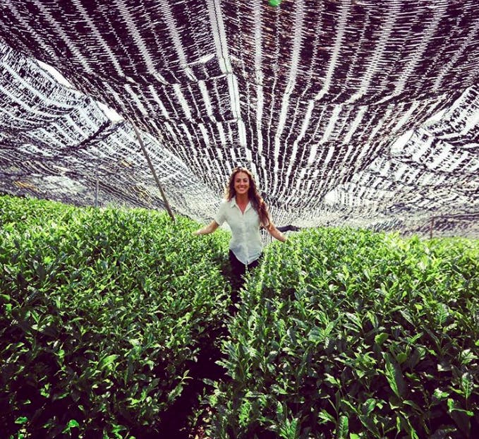 a person standing next to a tree